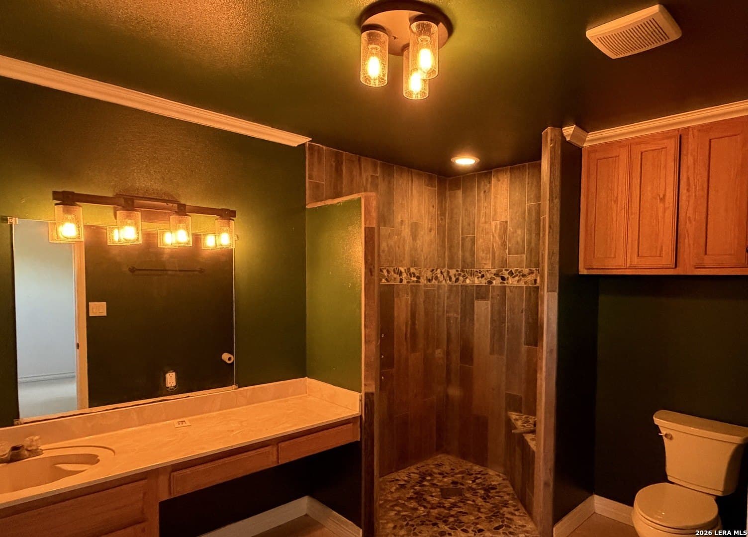 11.25 acres in Bexar County - photo 46