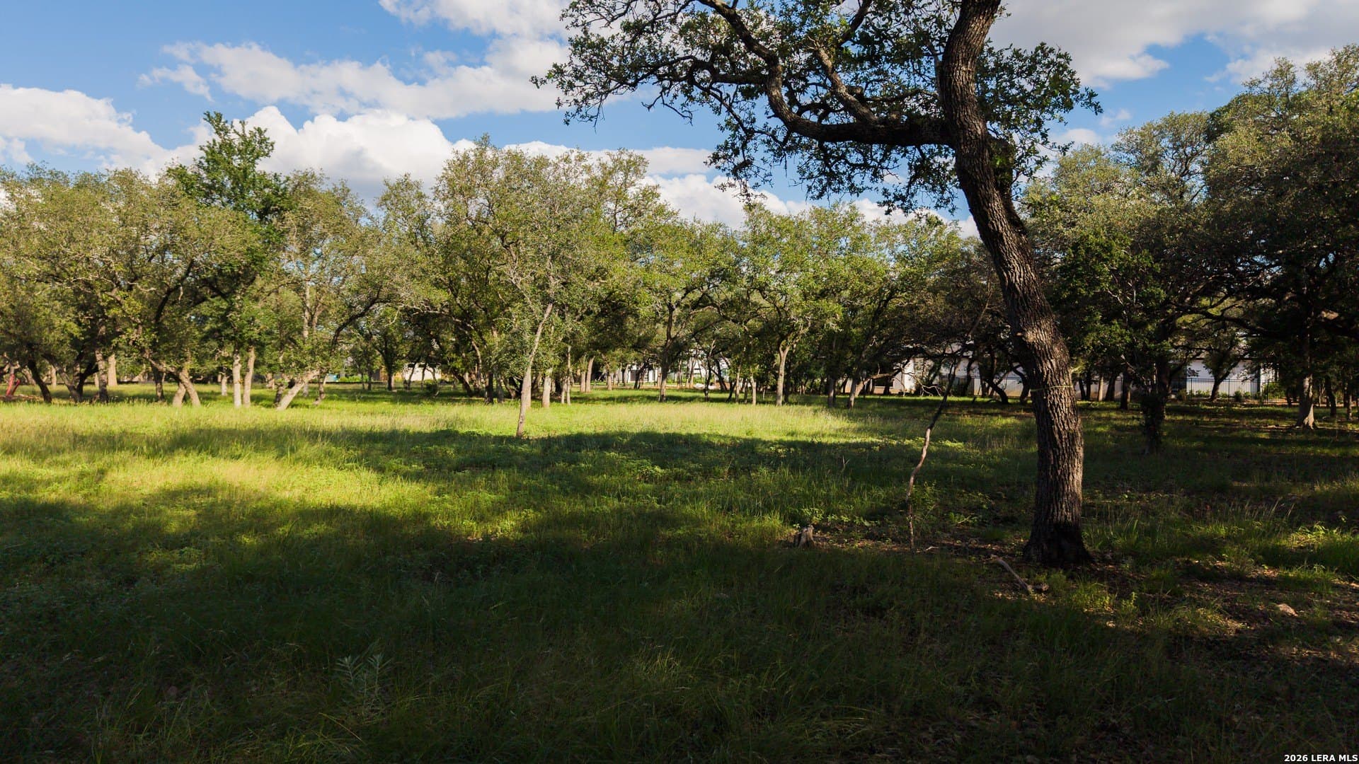 1.01 acres in Bexar County - photo 16