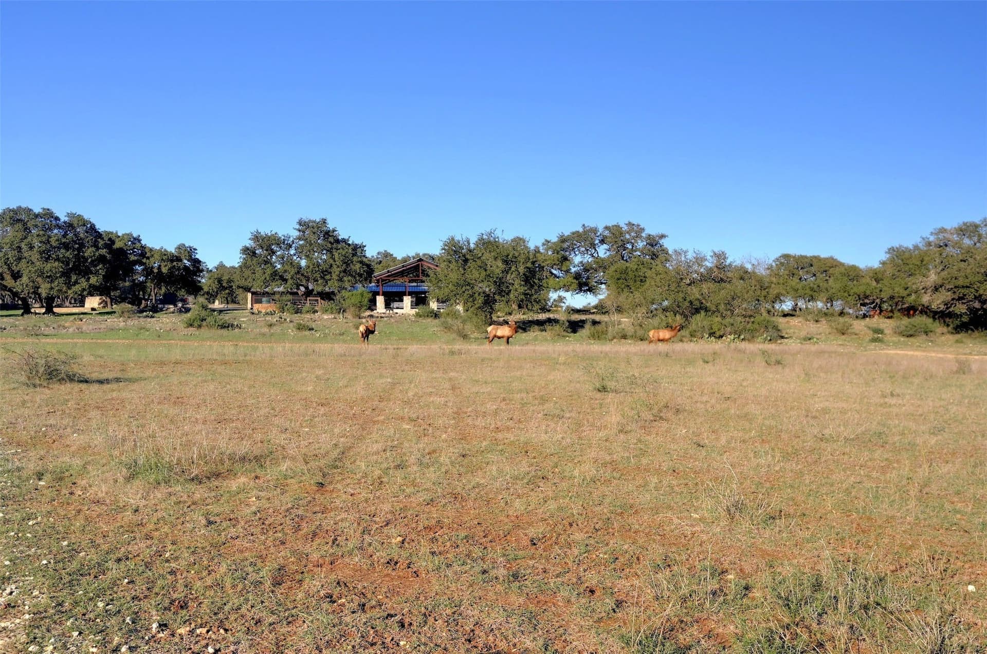 46.11 acres in Blanco County - photo 20
