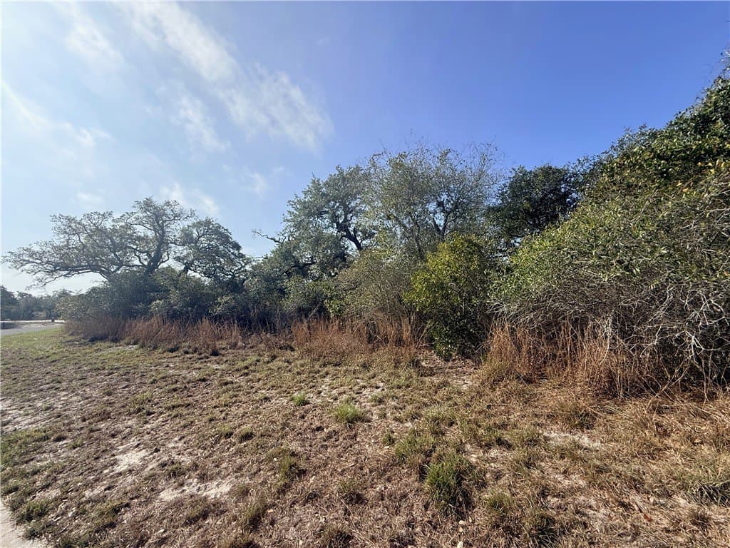 1 acres in Aransas County gallery image 4