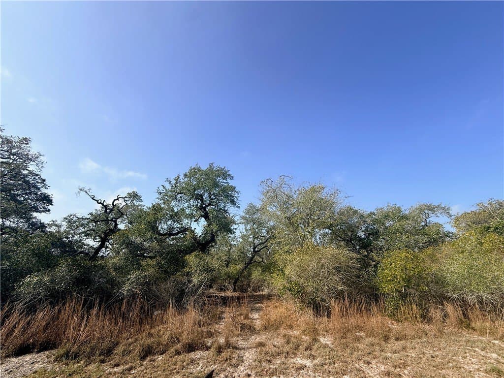 1 acres in Aransas County - photo 6