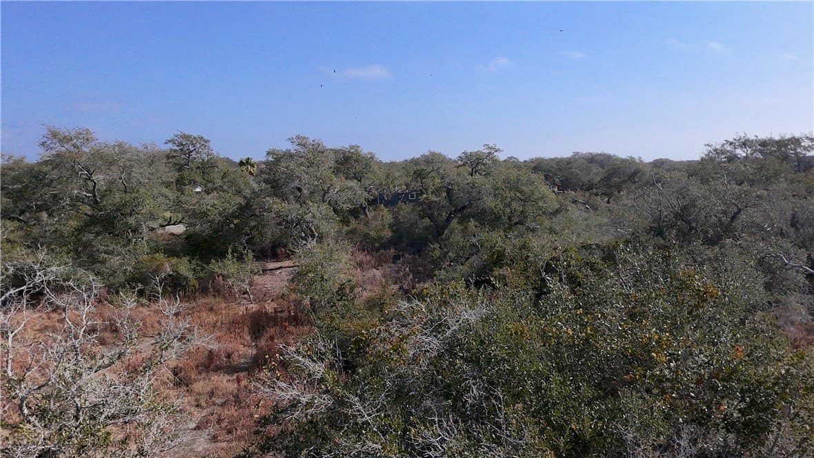 1 acres in Aransas County gallery image 3