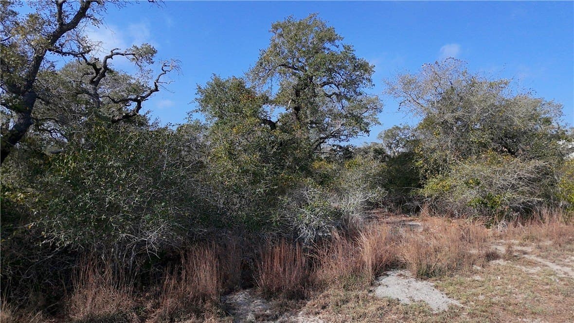 1 acres in Aransas County - photo 10