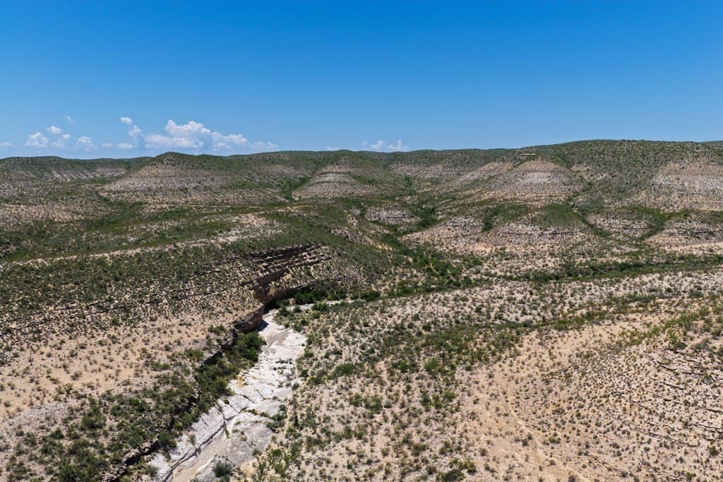350 acres in Terrell County gallery image 2