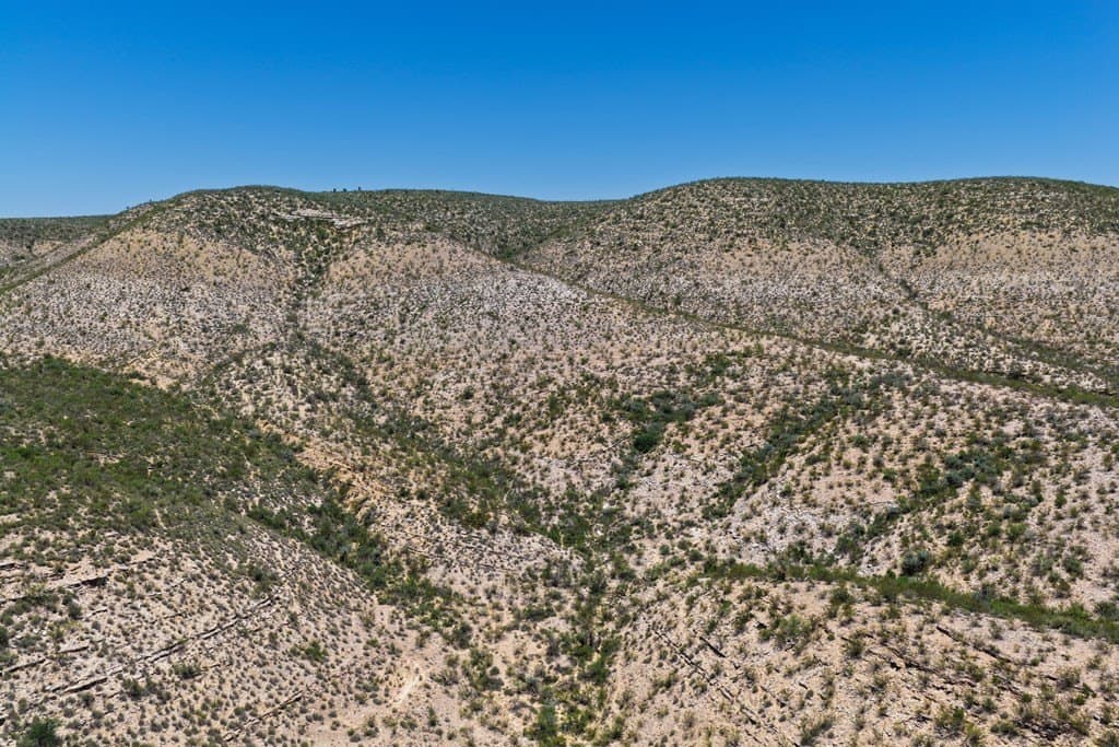 350 acres in Terrell County - photo 10