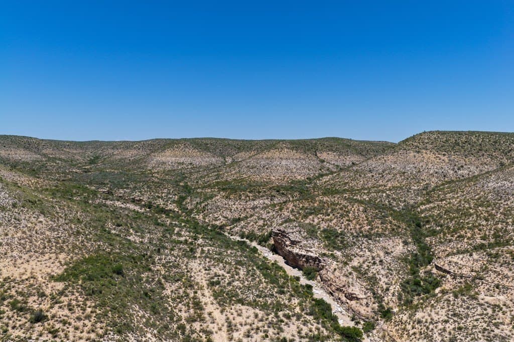 350 acres in Terrell County gallery image 4