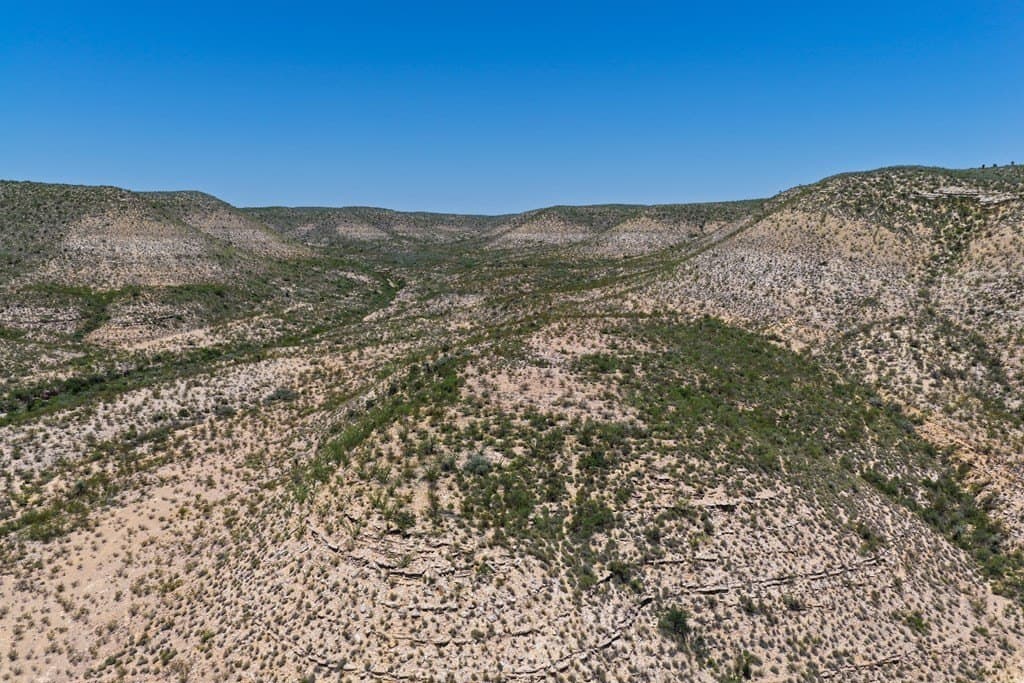 350 acres in Terrell County featured view