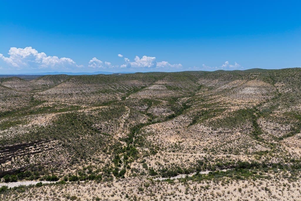 350 acres in Terrell County gallery image 3