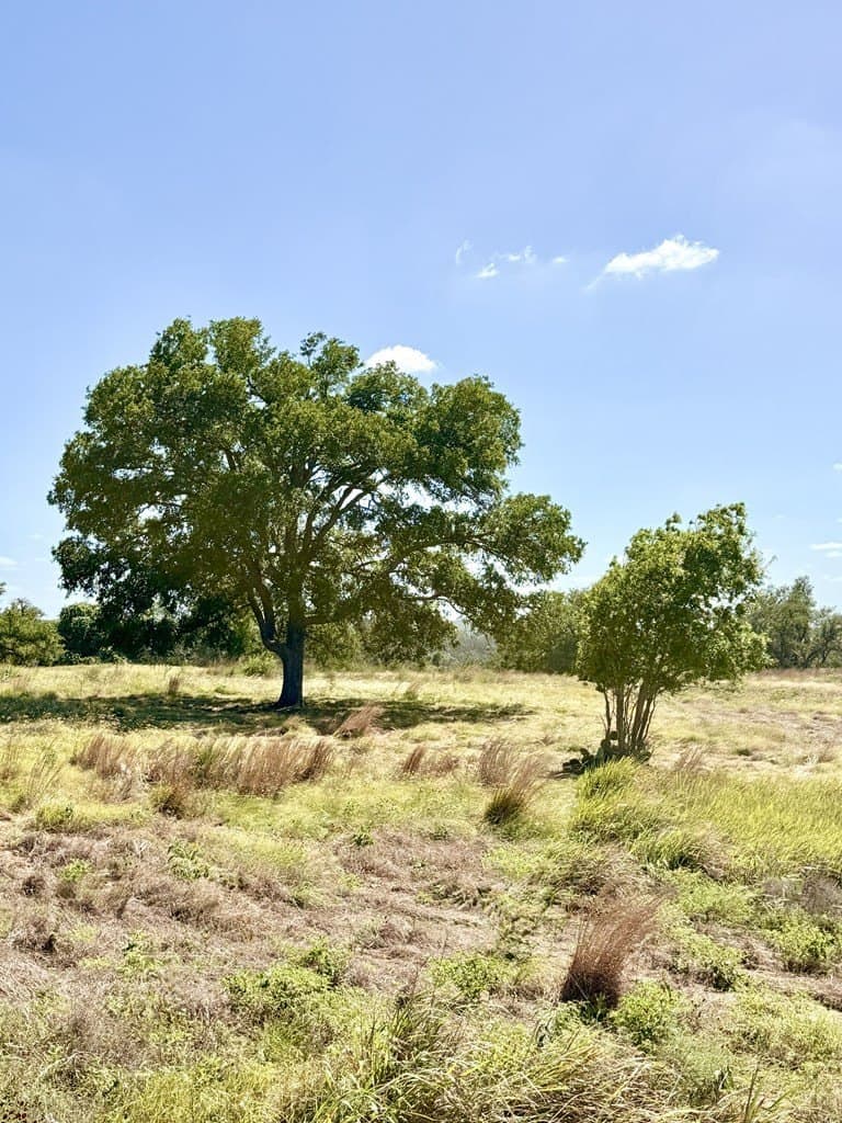3.01 acres in Gillespie County featured view