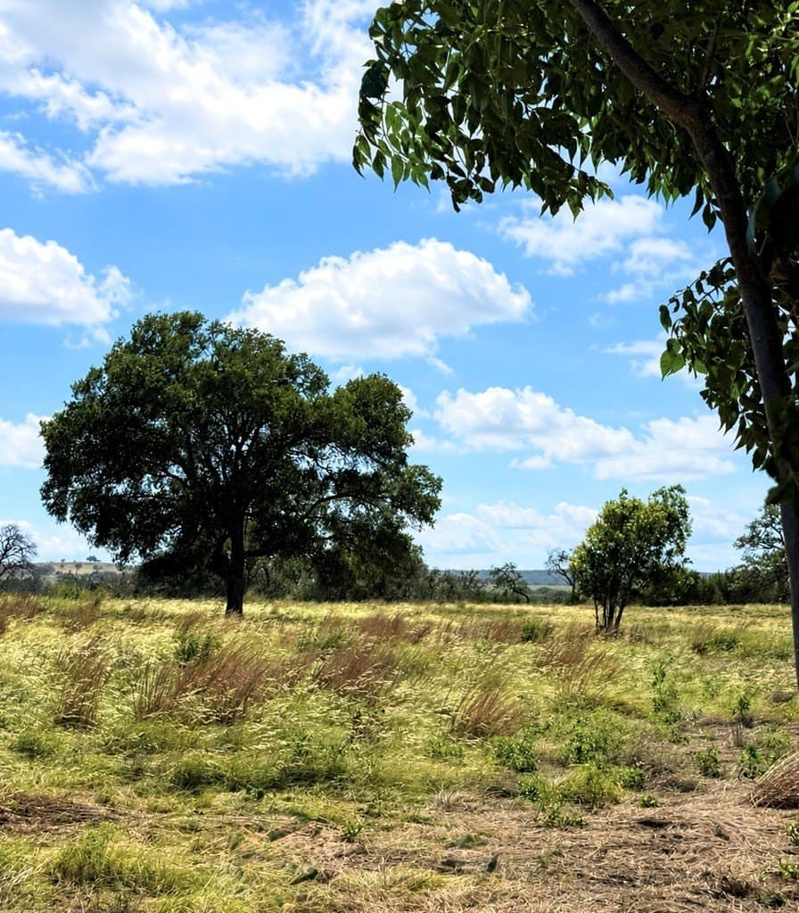 3.01 acres in Gillespie County - photo 8