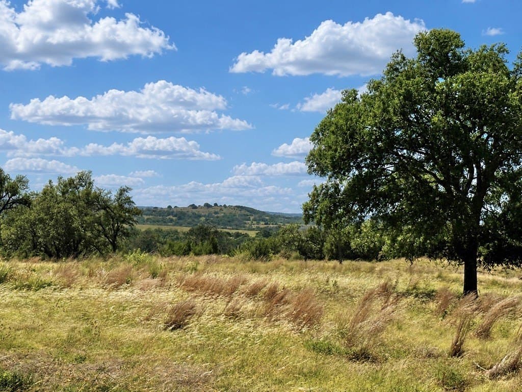 3.01 acres in Gillespie County - photo 6