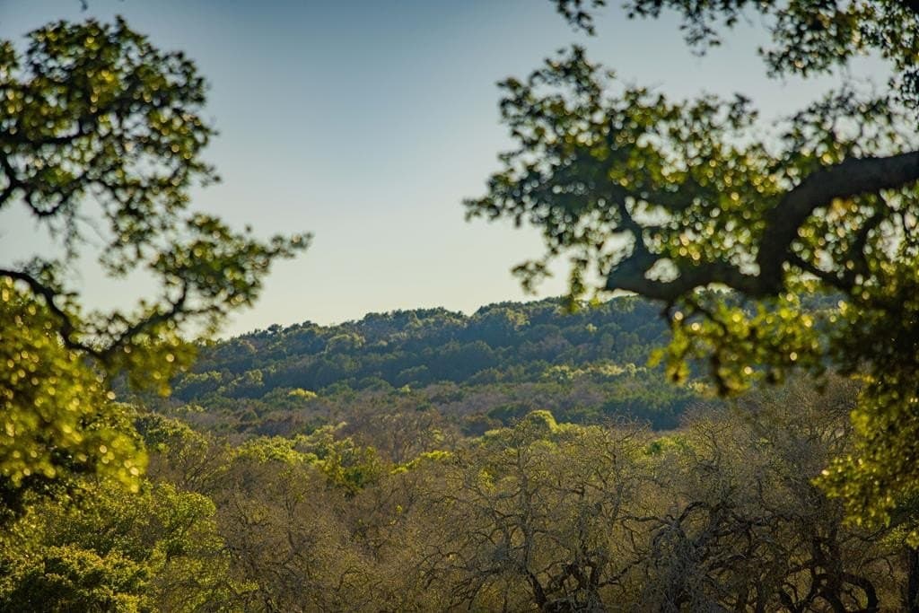 3.01 acres in Gillespie County - photo 11