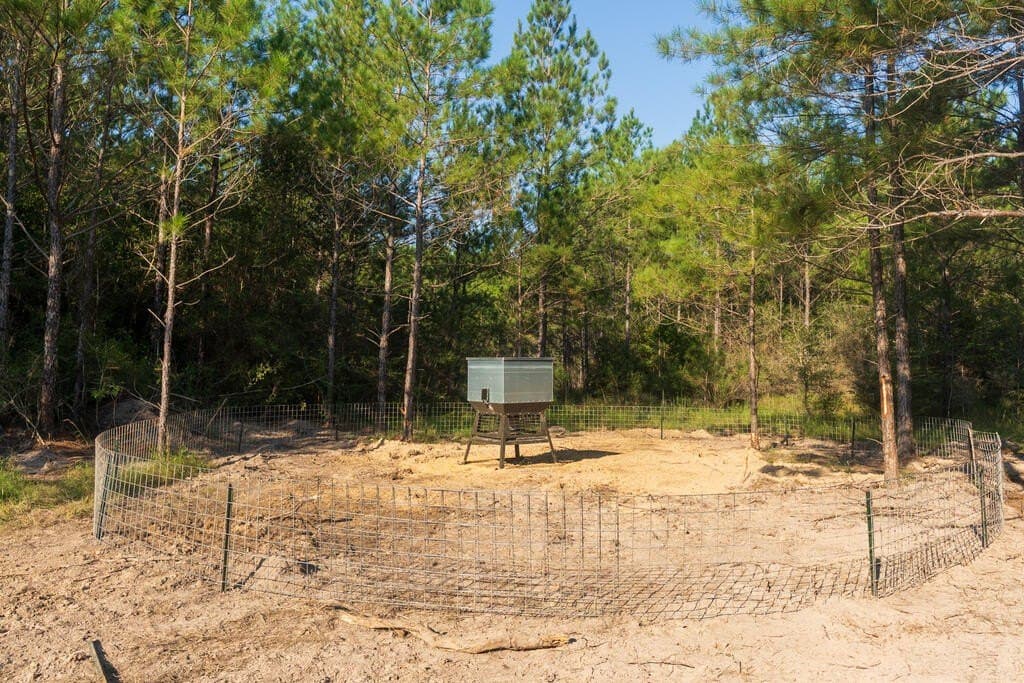 119 acres in Texas County - photo 5