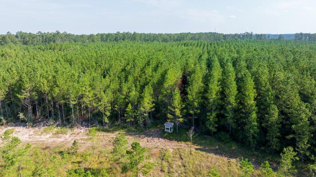 119 acres in Texas County - photo 19