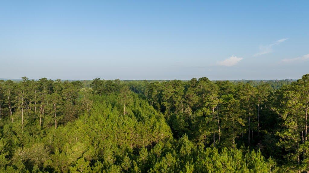 119 acres in Texas County - photo 15