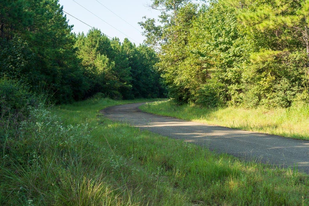119 acres in Texas County - photo 6