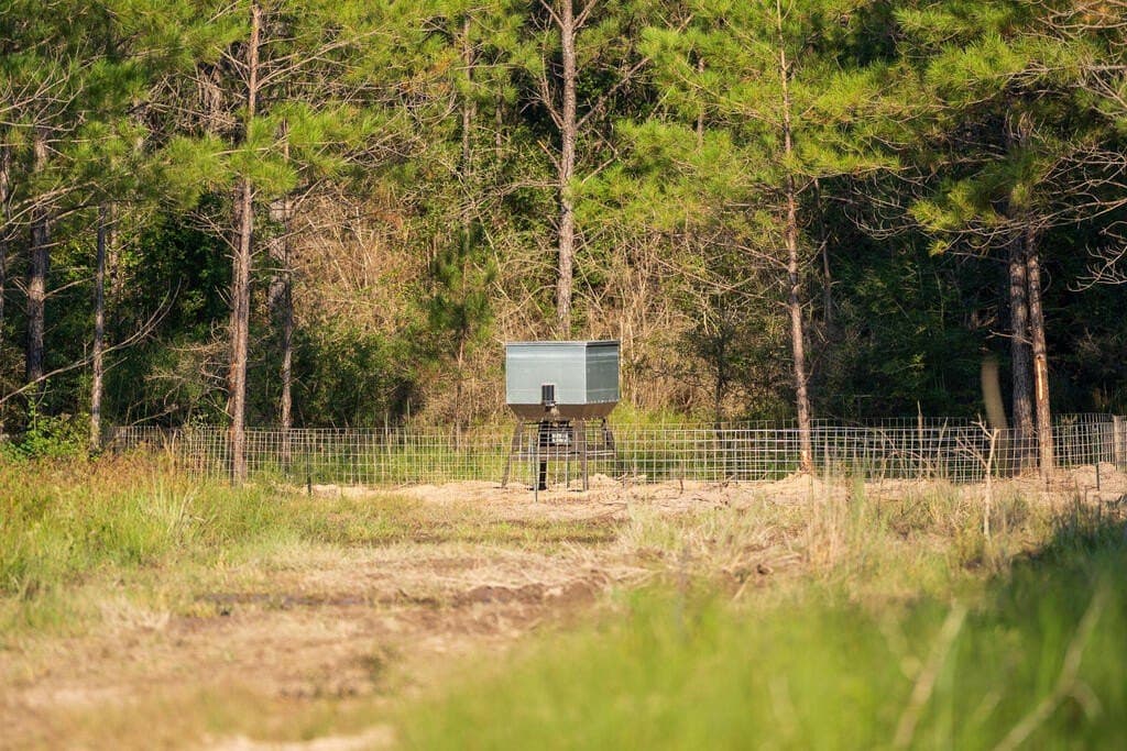 119 acres in Texas County - photo 3