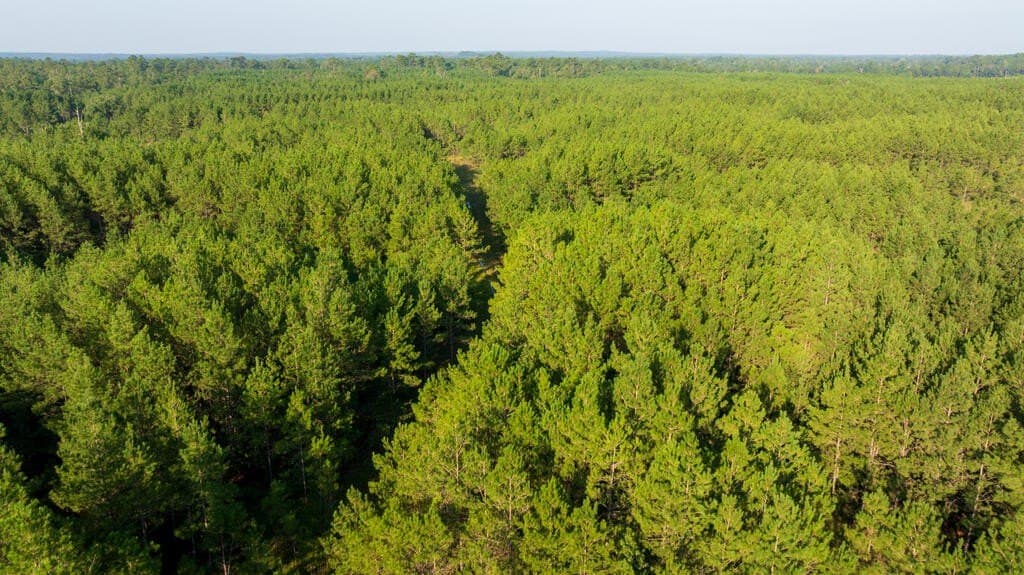 119 acres in Texas County - photo 16