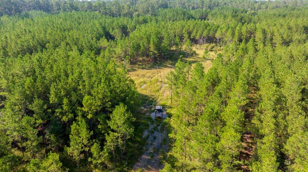 119 acres in Texas County - photo 18