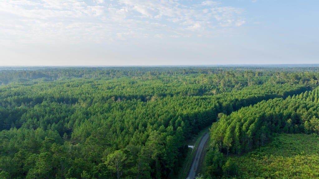 119 acres in Texas County - photo 11
