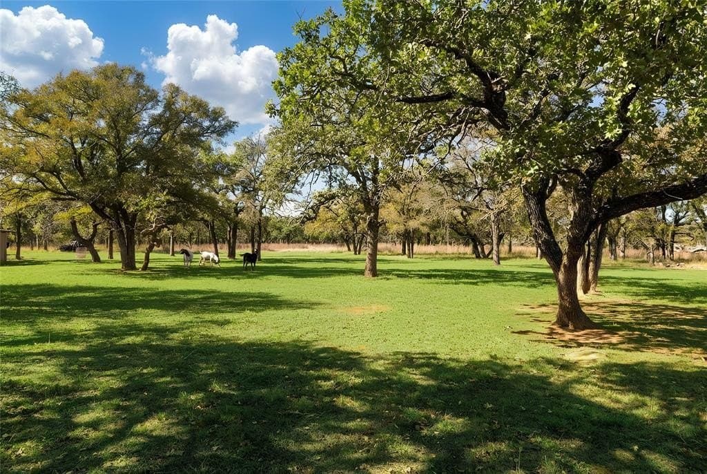20 acres in Palo Pinto County featured view