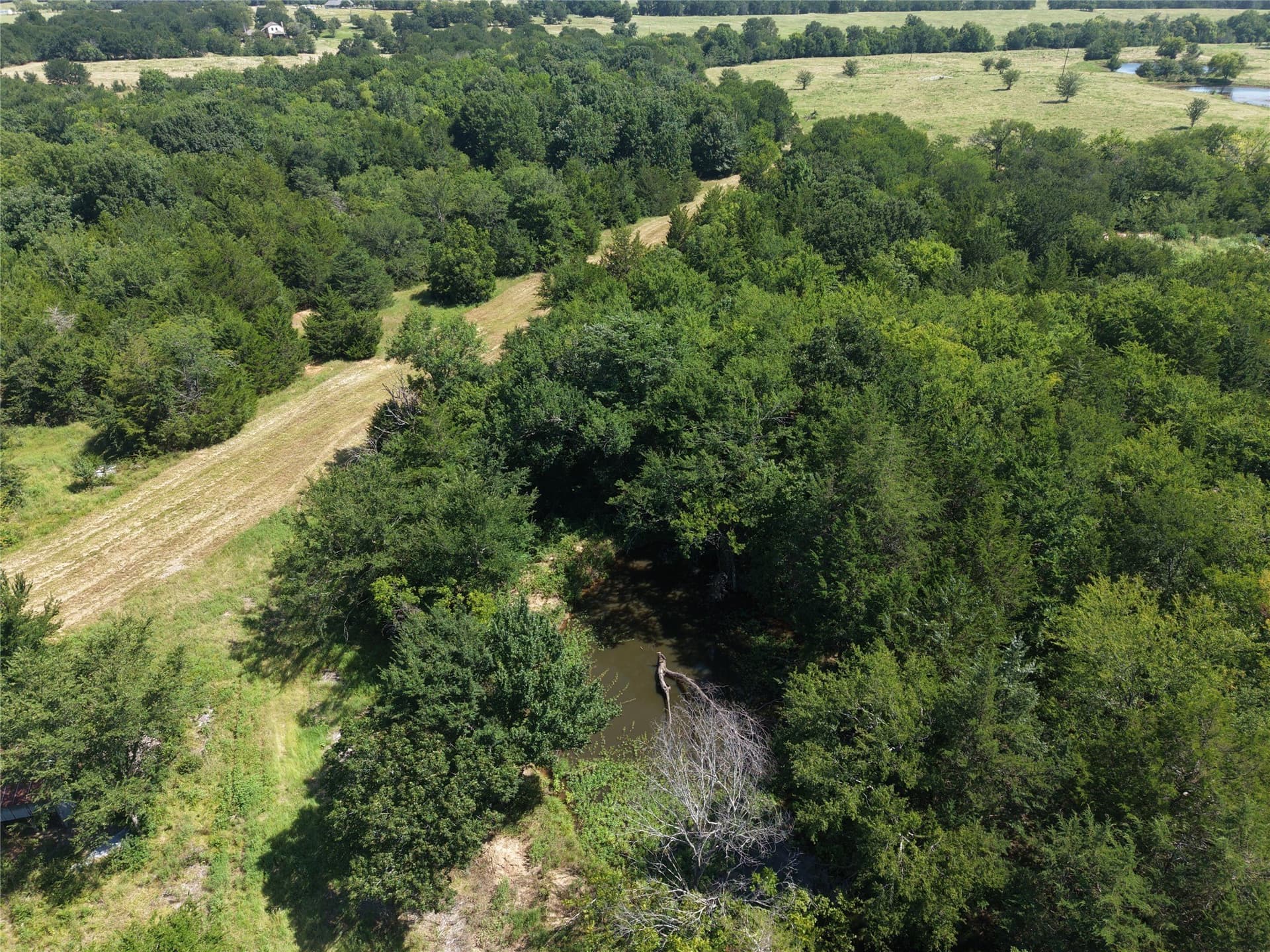 12 acres in Fannin County - photo 5