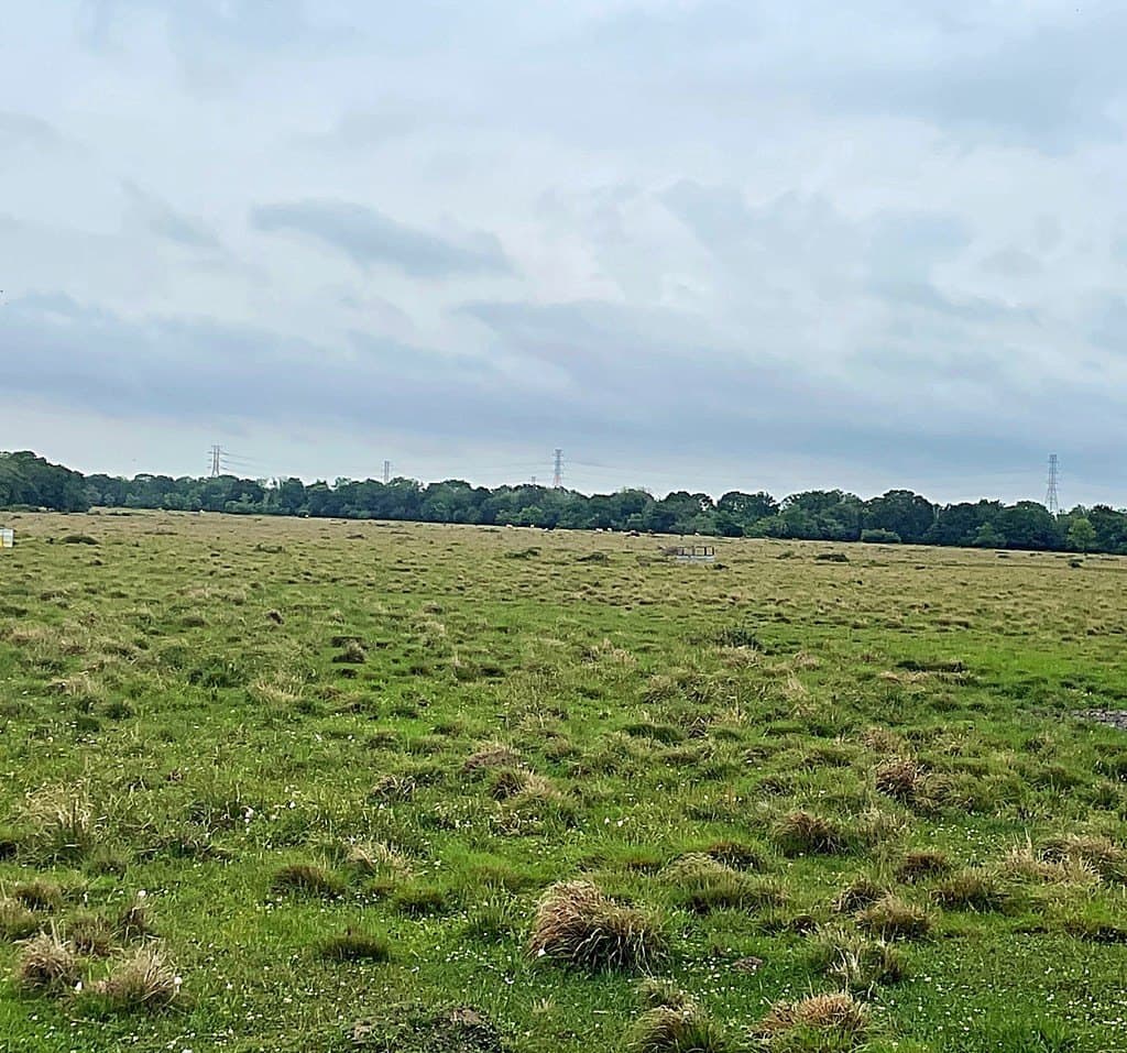 20 acres in Texas County gallery image 3