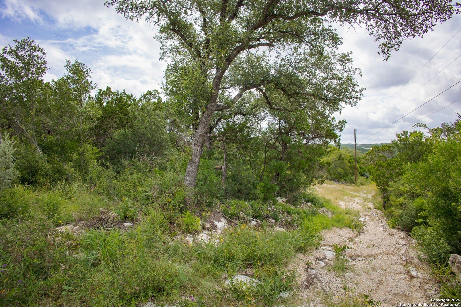 5.26 acres in Medina County - photo 12