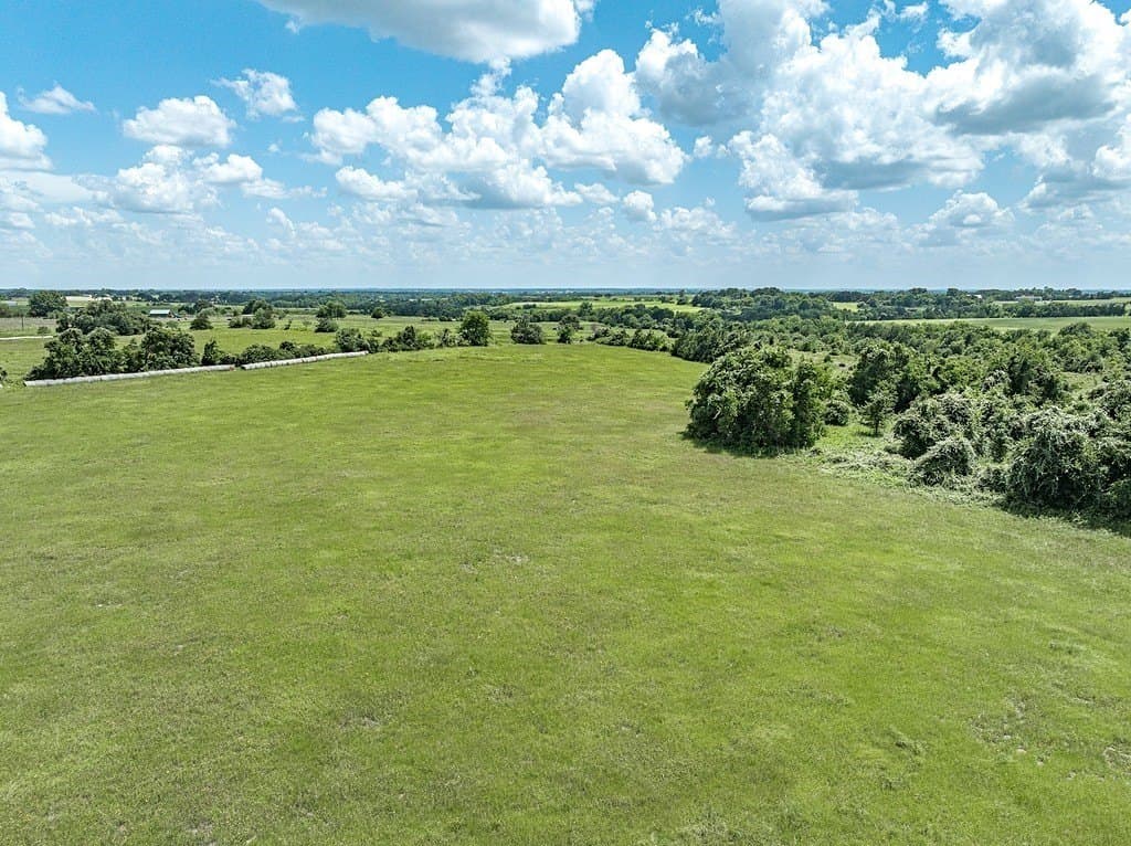 20 acres in Austin County gallery image 3
