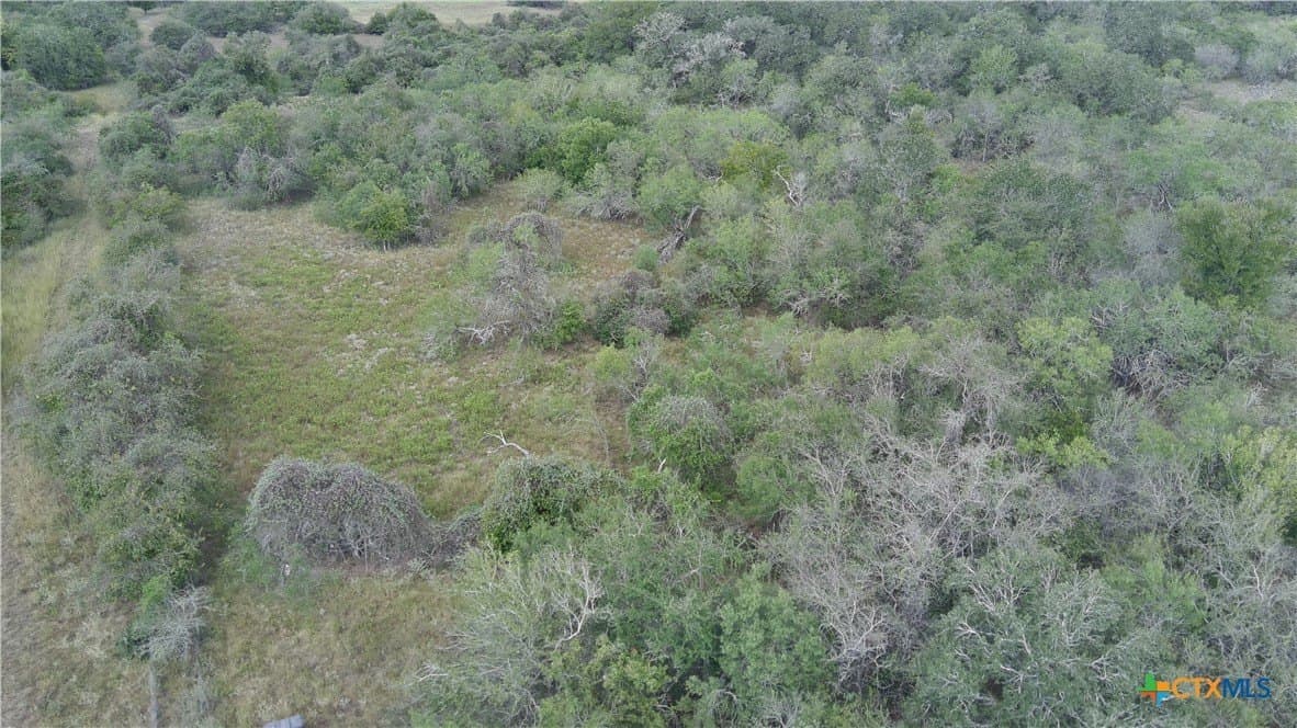 39.84 acres in Guadalupe County - photo 16