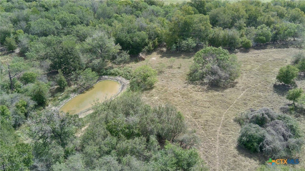 39.84 acres in Guadalupe County gallery image 2