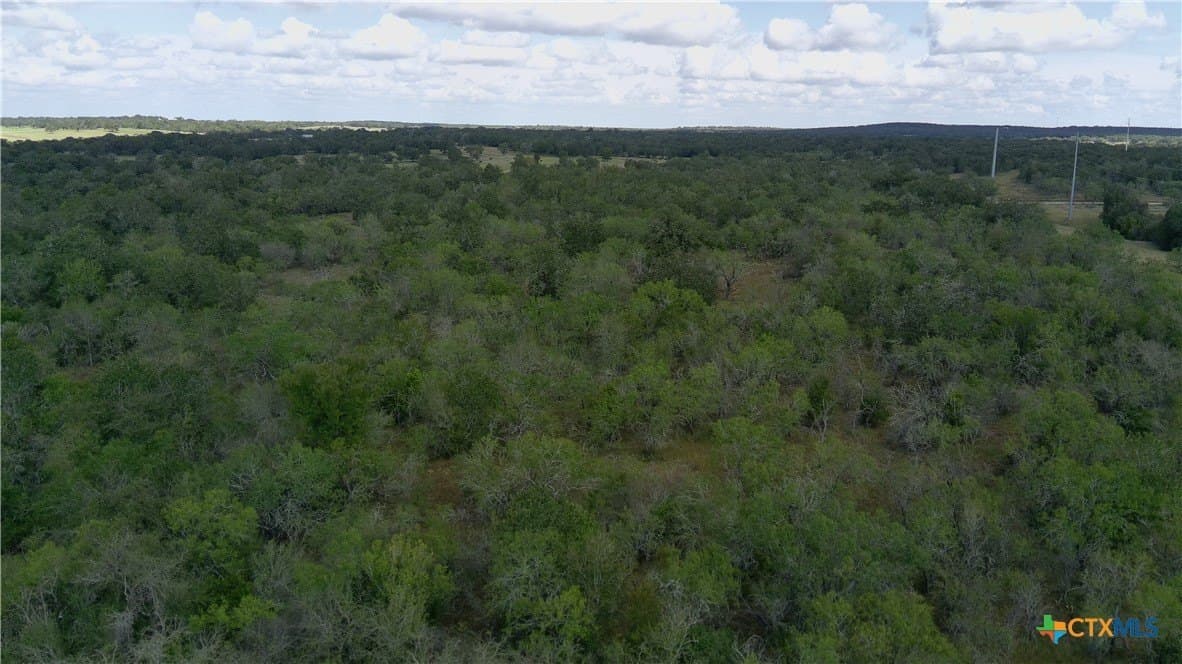39.84 acres in Guadalupe County - photo 17