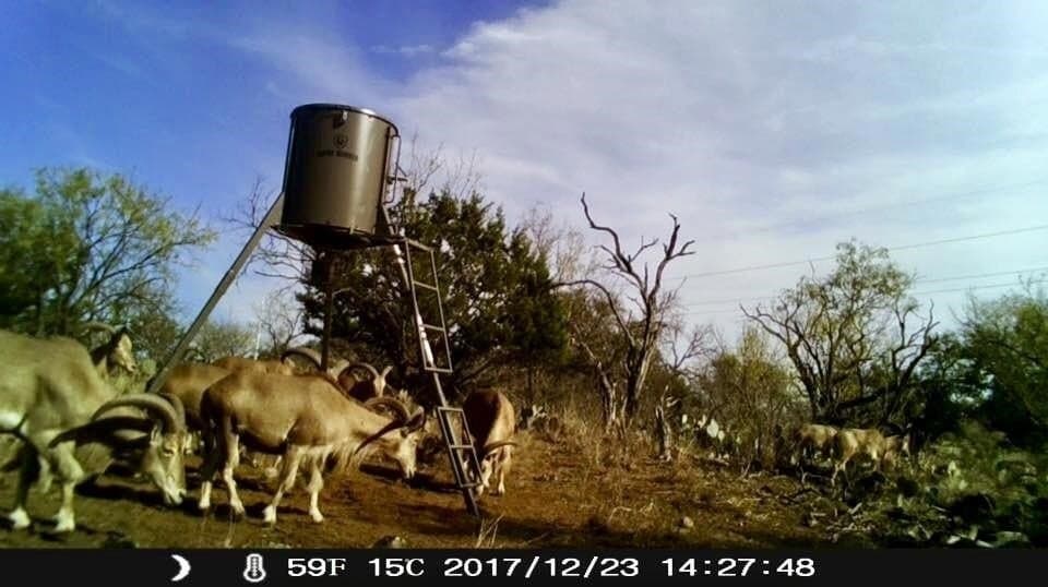 39.03 acres in Burnet County - photo 25