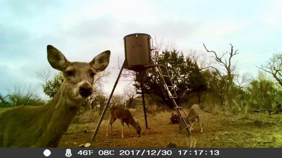 39.03 acres in Burnet County - photo 24
