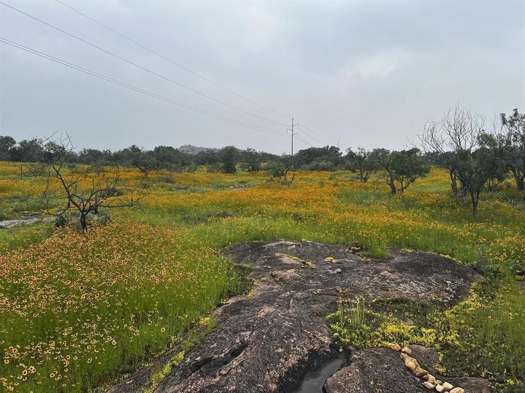 39.03 acres in Burnet County - photo 21