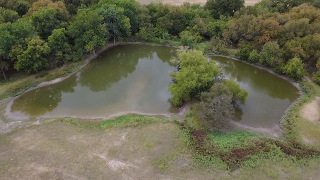 46.06 acres in Collin County - photo 7