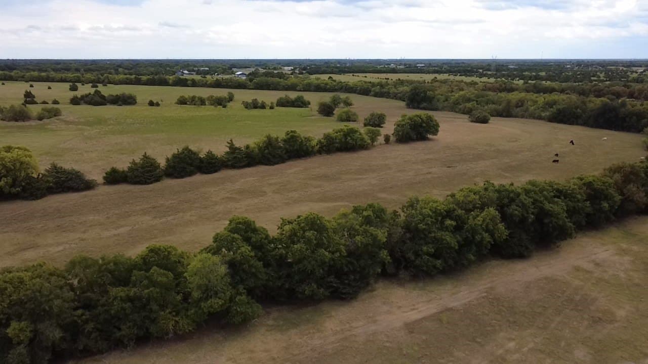 46.06 acres in Collin County - photo 6