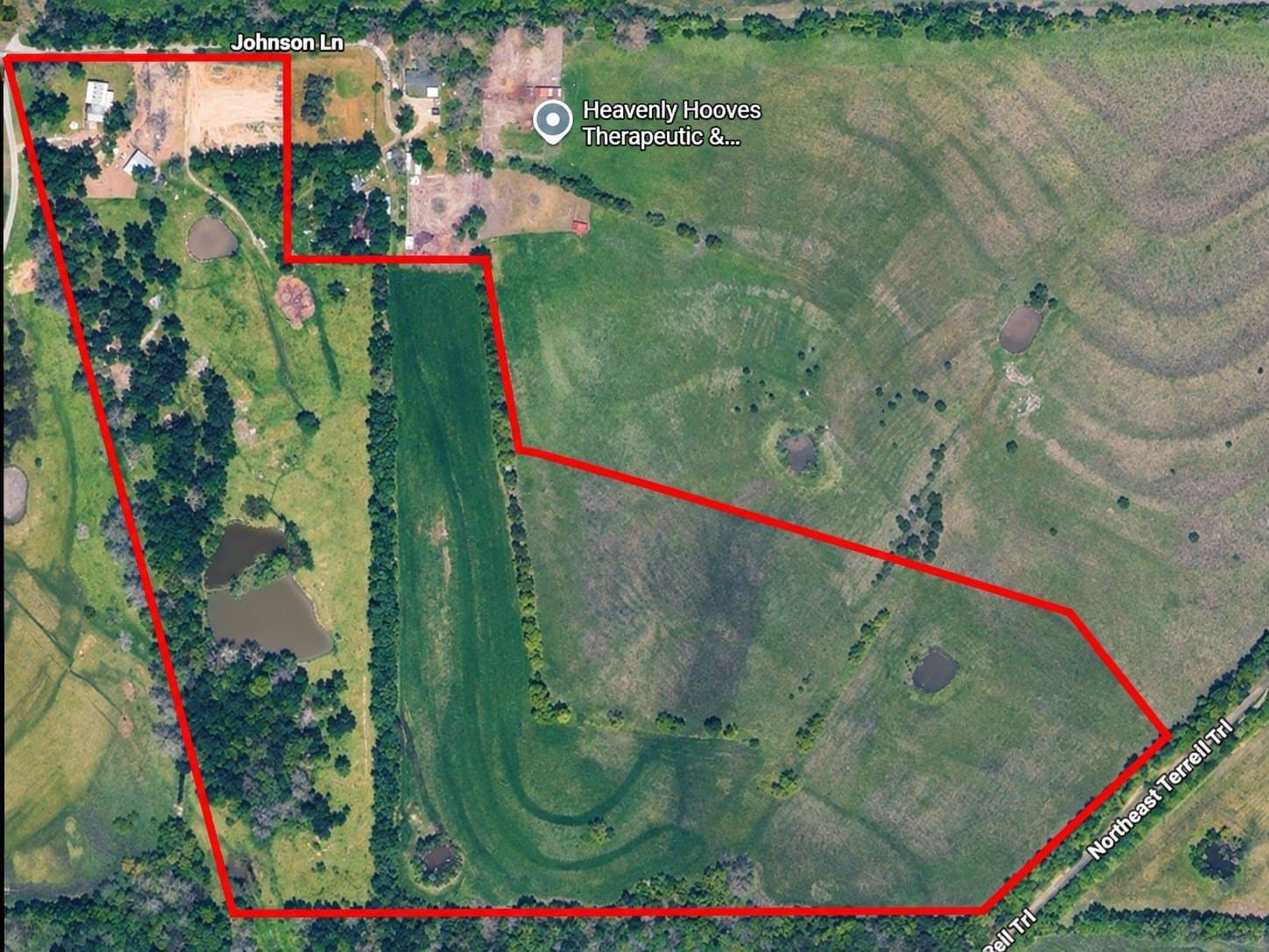 46.06 acres in Collin County - photo 5
