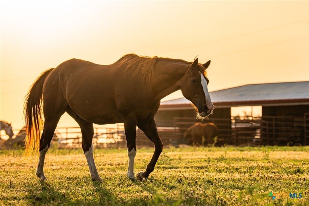 57.07 acres in Williamson County featured view