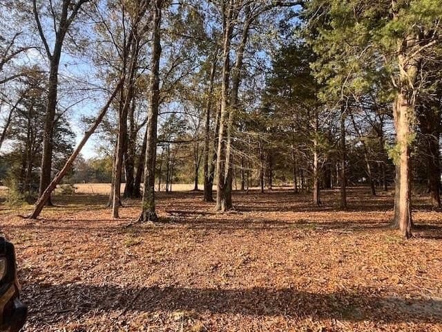 28.99 acres in Lamar County gallery image 3