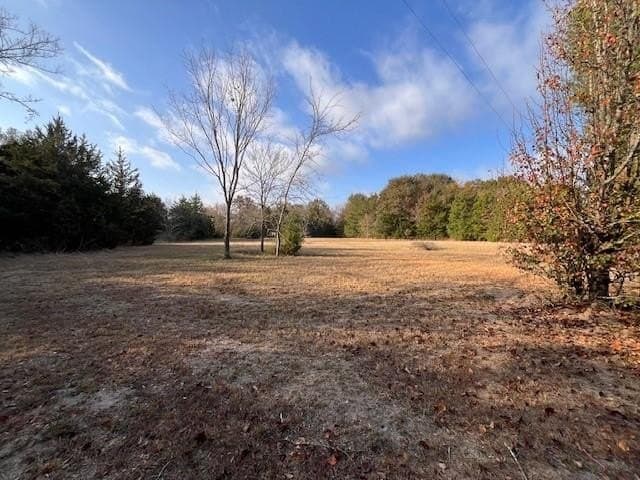 28.99 acres in Lamar County gallery image 2