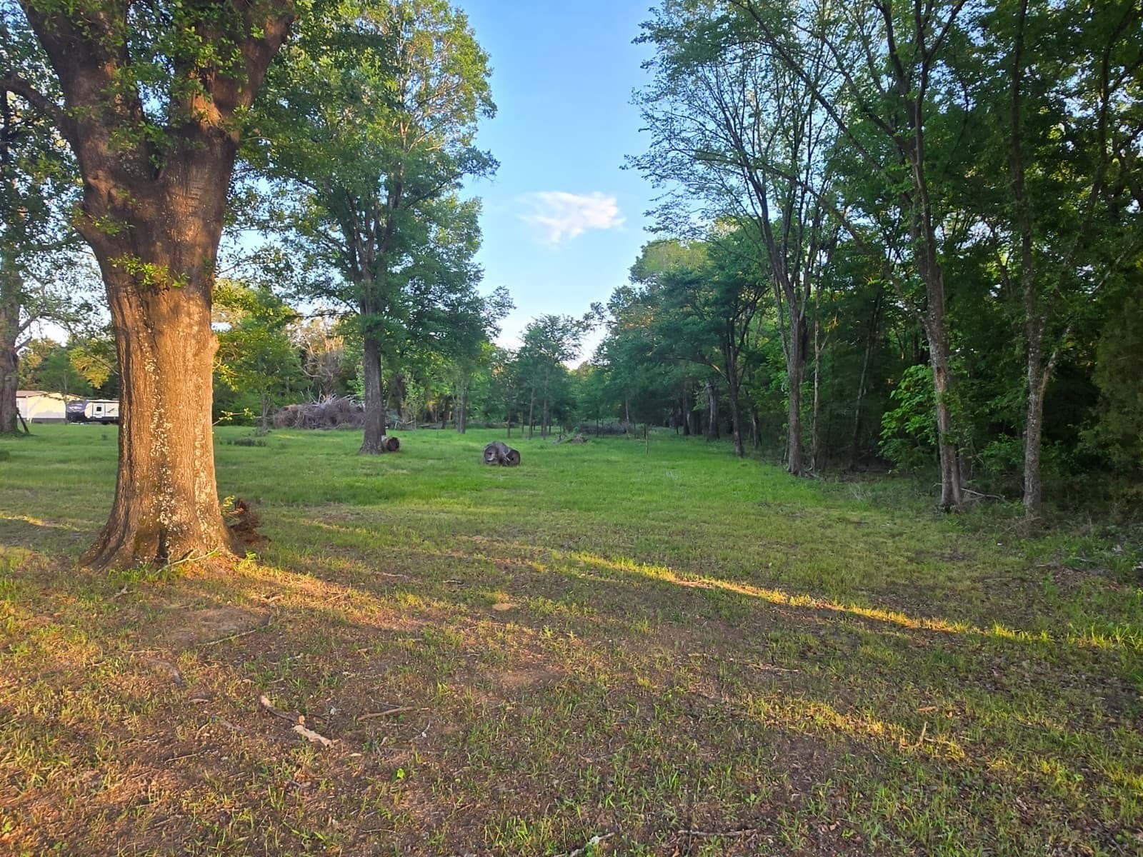3.1 acres in Henderson County - photo 4
