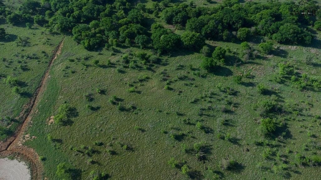 11 acres in Clay County - photo 13