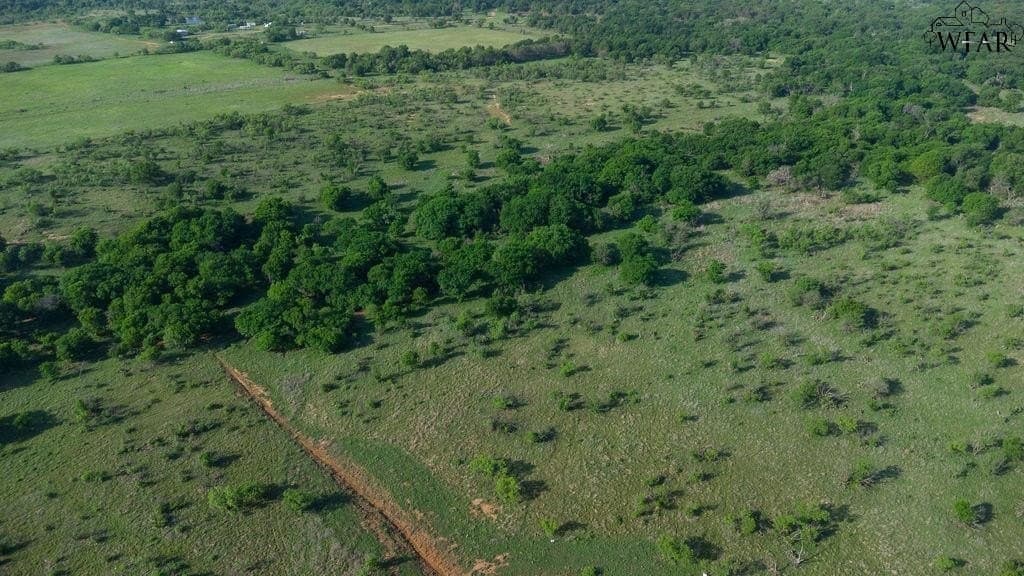 11 acres in Clay County - photo 8