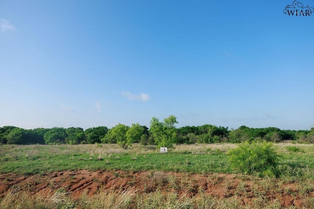 11 acres in Clay County - photo 6