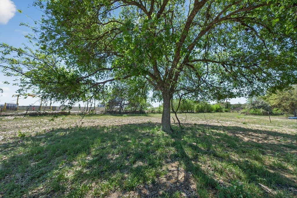 12.21 acres in Bexar County - photo 11