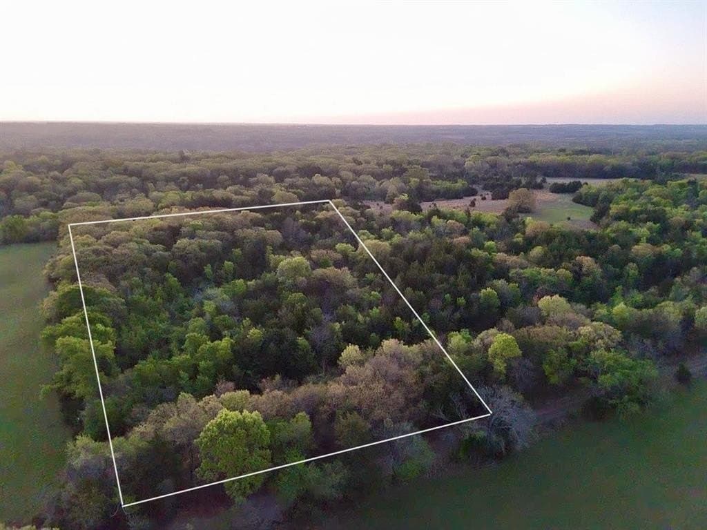 8 acres in Fannin County gallery image 3