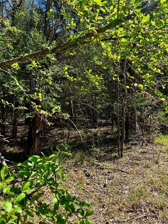 8 acres in Fannin County gallery image 4