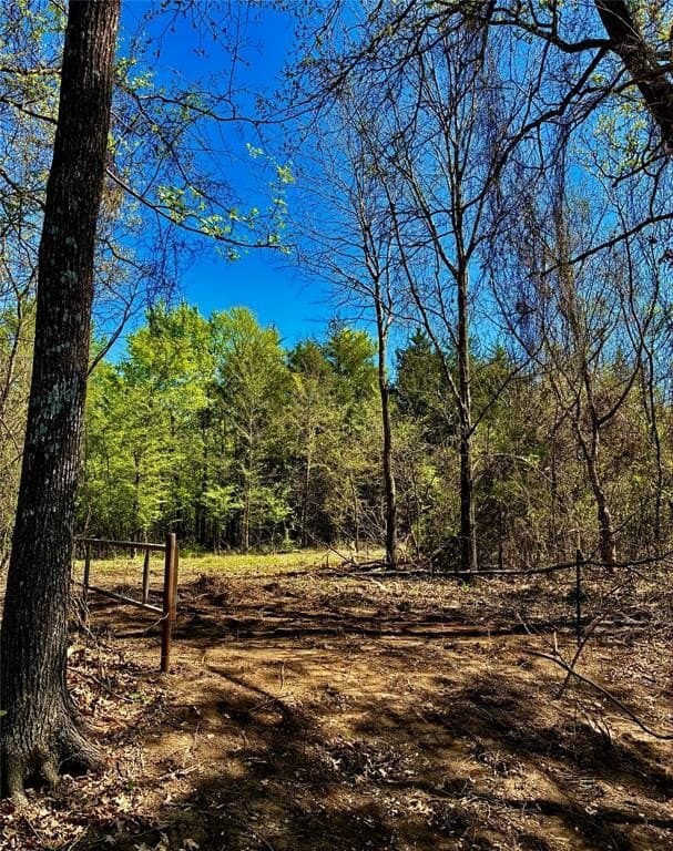 8 acres in Fannin County featured view