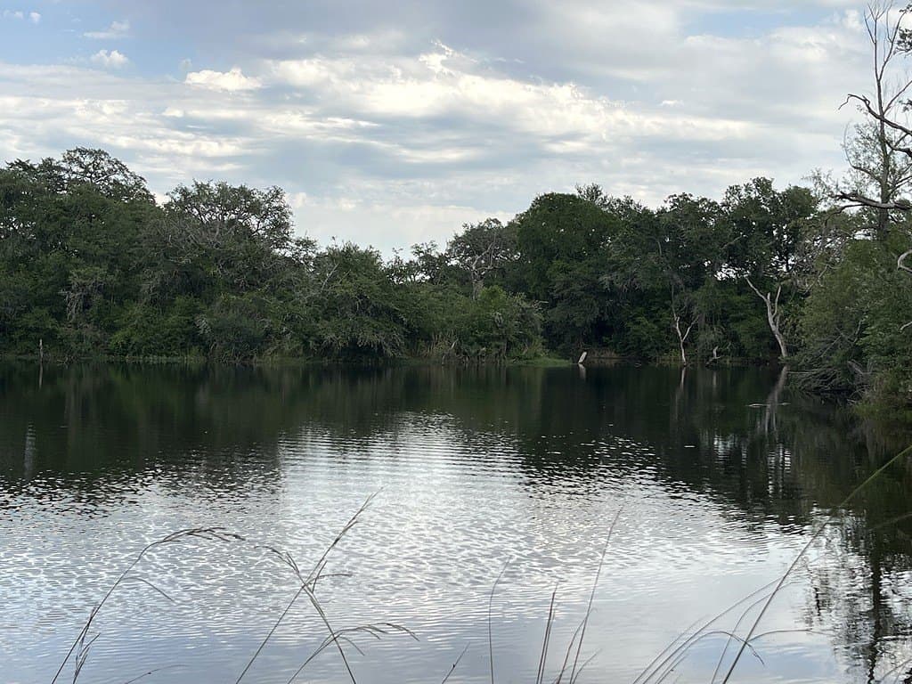 100 acres in Fayette County - photo 28